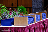 DSCF6368.jpg