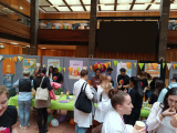 20240417_132555_limonade24_peer.jpg