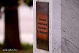 DSCF4513.jpg
