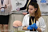 DSCF8771.jpg