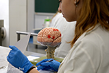 DSCF8773.jpg
