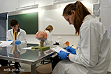 DSCF8778.jpg