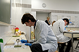 DSCF8787.jpg