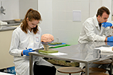 DSCF8788.jpg