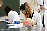 DSCF8791.jpg