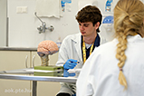 DSCF8804.jpg