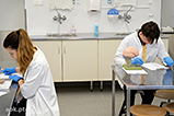 DSCF8805.jpg