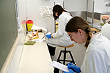DSCF8807.jpg