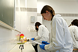 DSCF8808.jpg