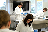 DSCF8810.jpg