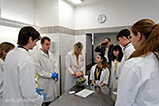 DSCF8811.jpg