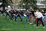 DSCF9373.jpg