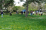 DSCF9395.jpg