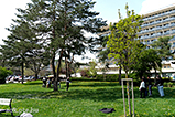 DSCF9401.jpg