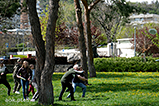 DSCF9403.jpg