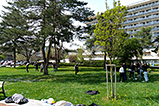 DSCF9404.jpg