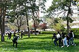 DSCF9409.jpg