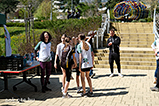 DSCF9550.jpg