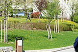 DSCF9590.jpg