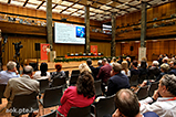 DSCF0478.jpg