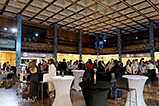DSCF0882.jpg