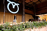 DSCF0937.jpg