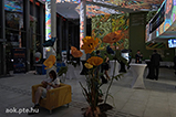 DSCF0953.jpg