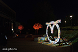 DSCF0957.jpg