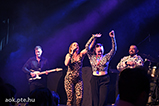 DSCF1593.jpg