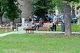 DSCF3080.jpg