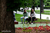 DSCF3186.jpg