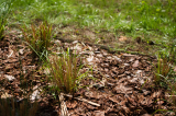 aok_parkavatas_20250519_006_kerekes.jpg