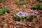 aok_parkavatas_20250519_014_kerekes.jpg