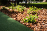 aok_parkavatas_20250519_016_kerekes.jpg