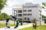 aok_parkavatas_20250519_035_kerekes.jpg