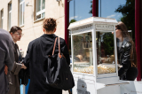 aok_parkavatas_20250519_044_kerekes.jpg