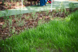 aok_parkavatas_20250519_047_kerekes.jpg