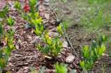 aok_parkavatas_20250519_099_kerekes.jpg
