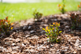 aok_parkavatas_20250519_110_kerekes.jpg