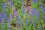 aok_parkavatas_20250519_114_kerekes.jpg