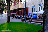 DSCF8305.jpg