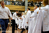 DSCF8516.jpg