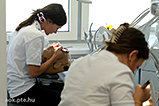 DSCF09753.jpg