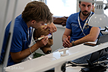 DSCF09795.jpg
