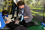 DSCF09841.jpg