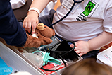DSCF7486.jpg