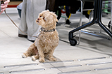 DSCF7513.jpg