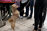 DSCF7516.jpg