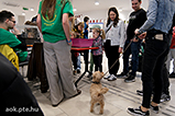 DSCF7518.jpg