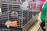 DSCF7522.jpg